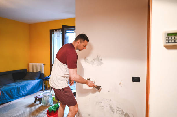 Best Emergency Mold Remediation in Belen, NM